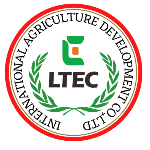 LTEC INTERNATIONAL